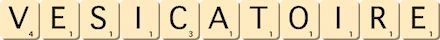 vesicatoire