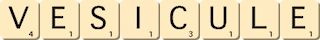 vesicule vesicule