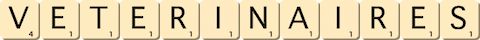 veterinaires