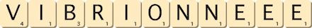 vibrionne--ee