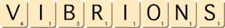 vibrions vibrions