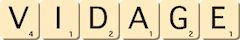 vidage
