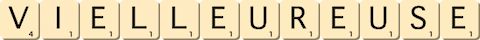 vielleur--euse