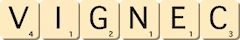 vignec vignec