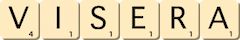 visera visera