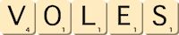 voles voles
