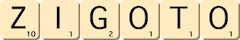 zigoto