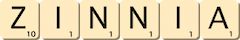 zinnia zinnia