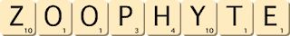 zoophyte