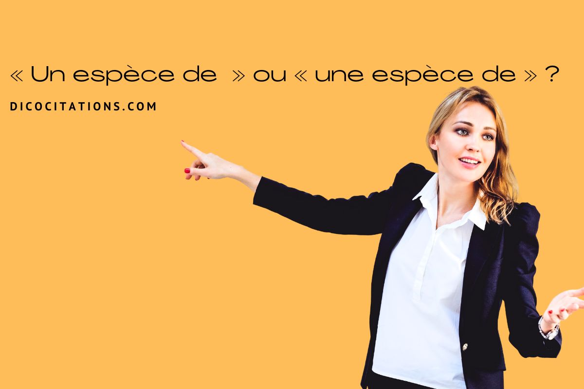 Ou ou o ?